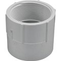 Genova LASCO 435025BC Pipe Adapter, 212 in, Slip x FIP, PVC, SCH 40 Schedule 435025-BC